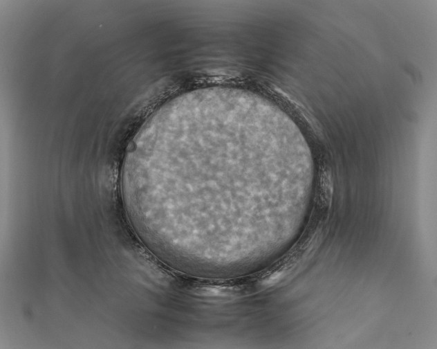 X0000112090657200909011105
