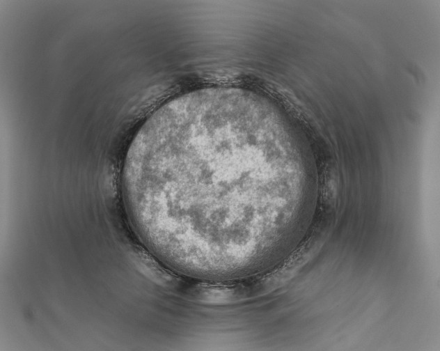 X0000112090658200909011105