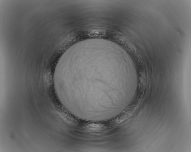 X0000112090659200909011105