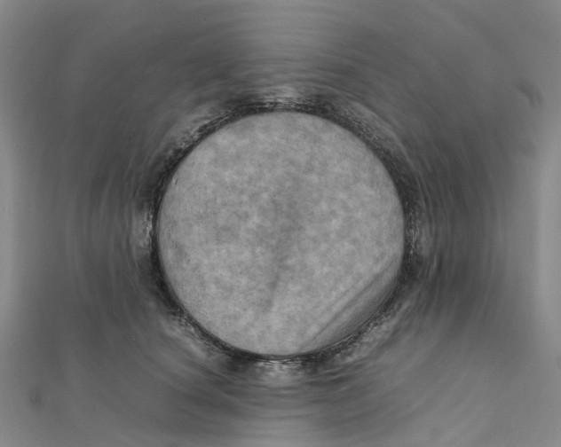 X0000112090660200909011105