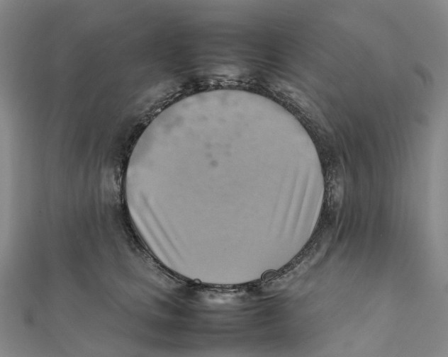 X0000112090661200909011105