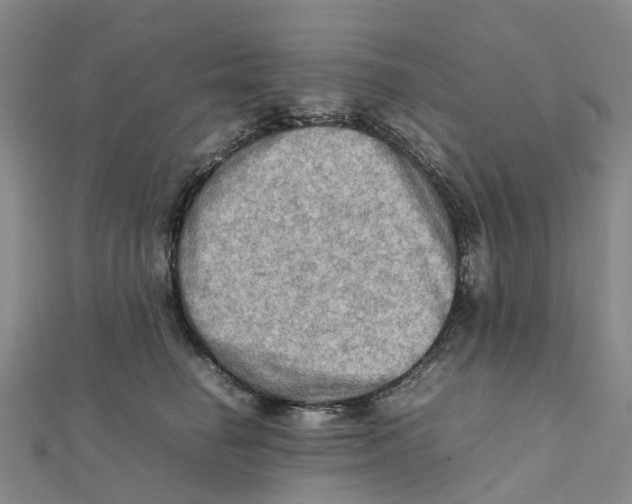 X0000112090662200909011105