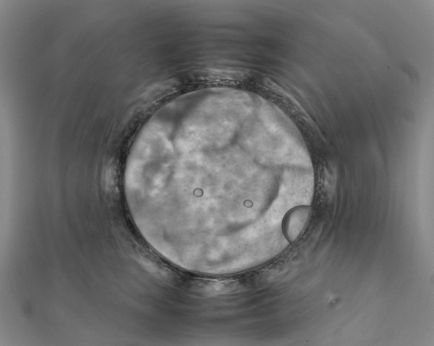 X0000112090663200909011105
