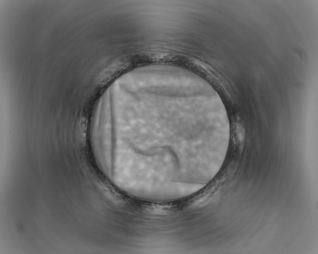 X0000112090664200909011105