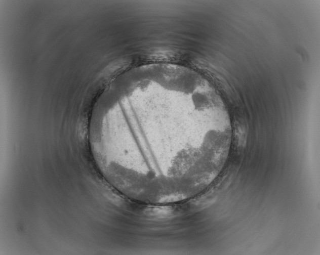 X0000112090665200909011105