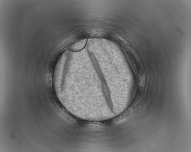 X0000112090666200909011105
