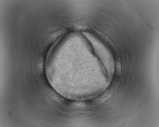 X0000112090668200909011105