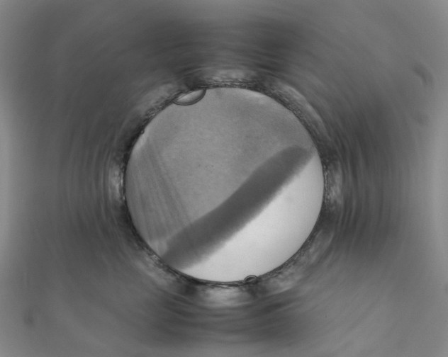 X0000112090669200909011105