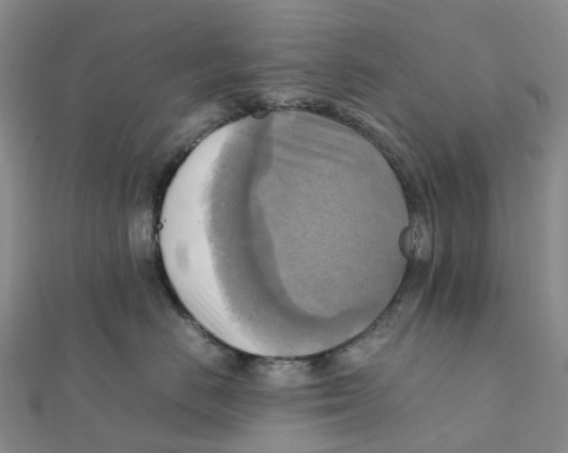 X0000112090670200909011105