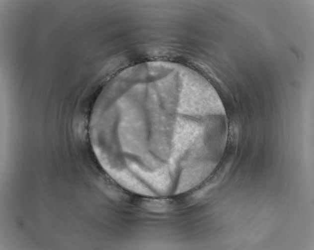 X0000112090671200909011105