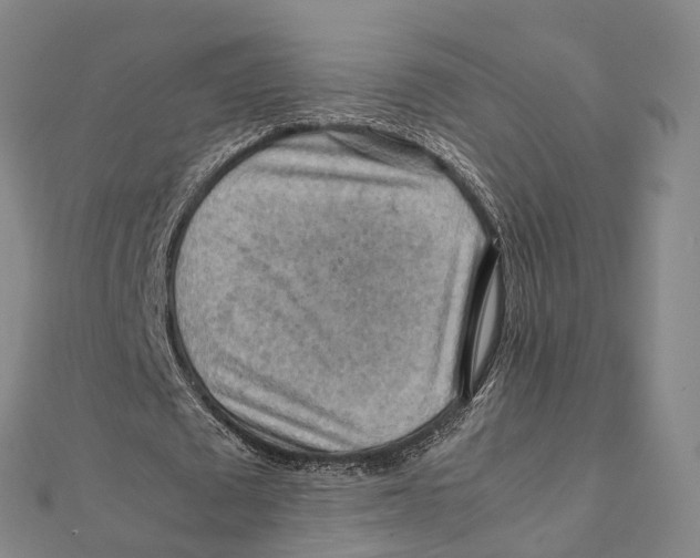 X0000112090673200909011105