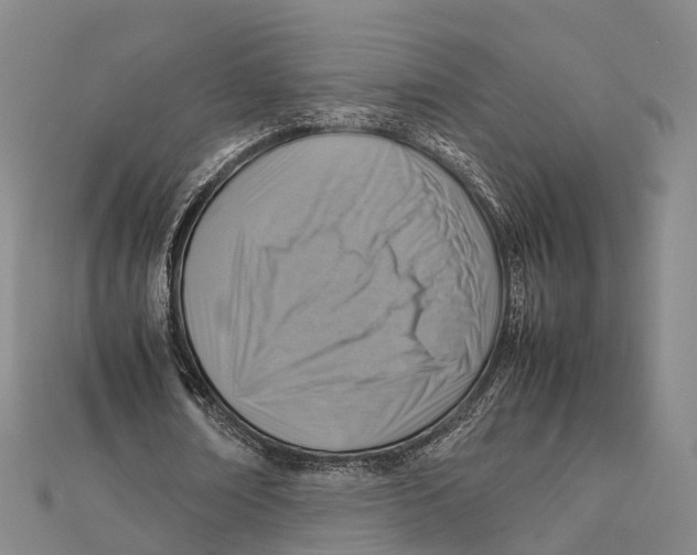 X0000112090674200909011105