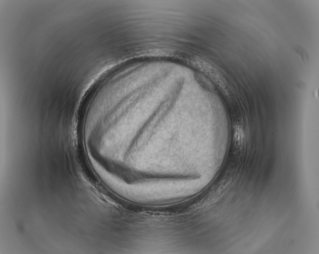 X0000112090676200909011105