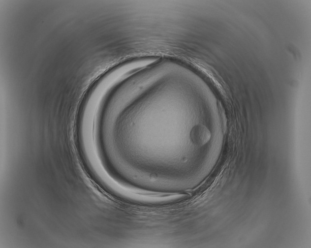 X0000112090677200909011105