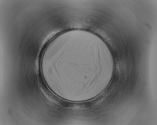 X0000112090678200909011105