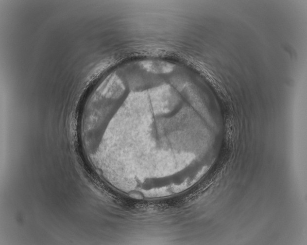 X0000112090679200909011105