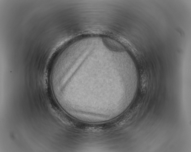 X0000112090680200909011105