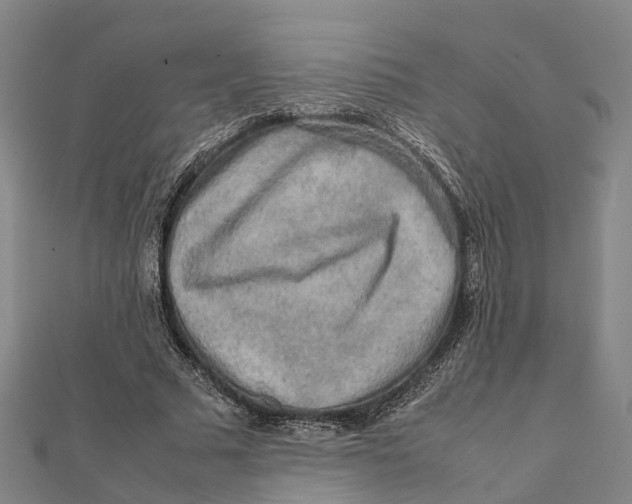 X0000112090681200909011105