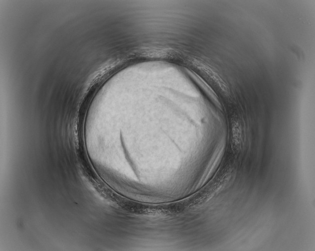 X0000112090682200909011105