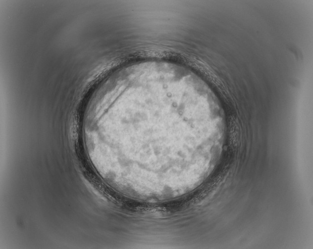 X0000112090683200909011105