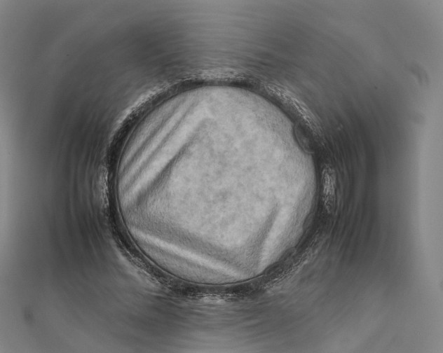 X0000112090684200909011105
