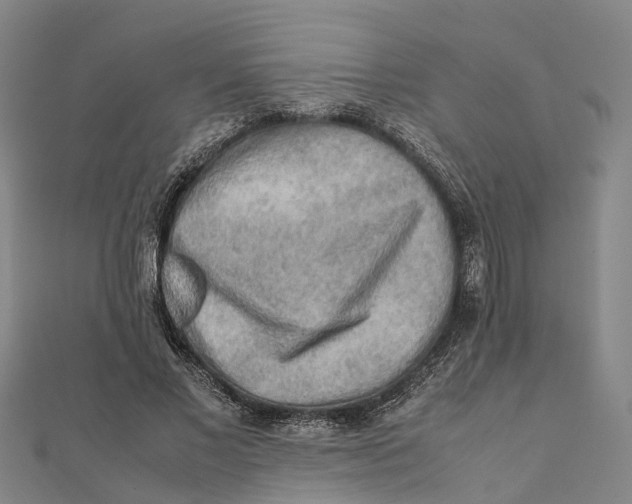 X0000112090685200909011105
