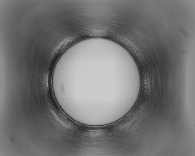 X0000112090686200909011105