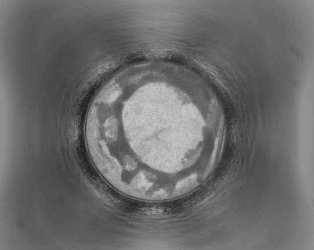 X0000112090687200909011105