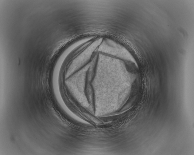 X0000112090688200909011105