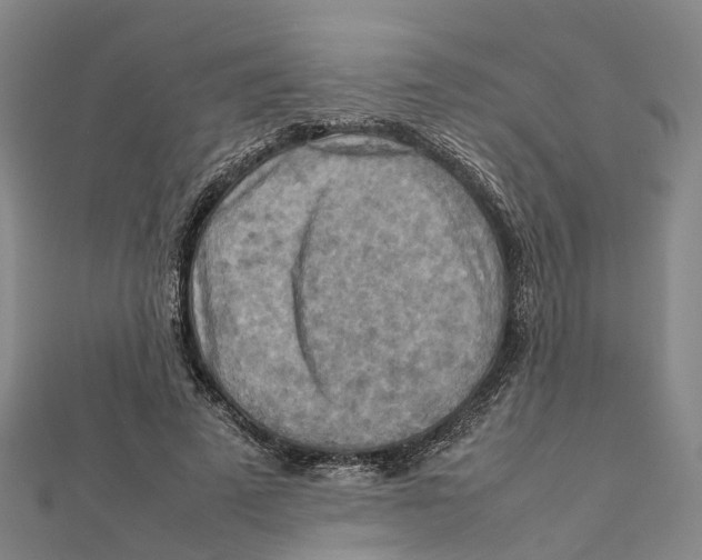 X0000112090689200909011105