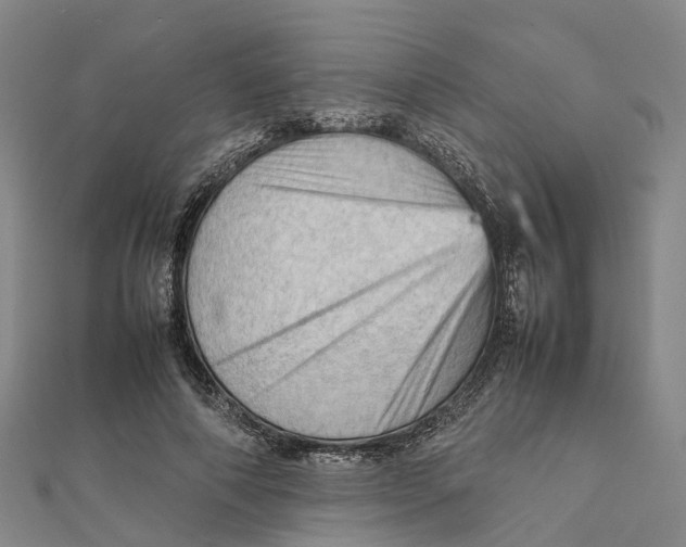 X0000112090690200909011105