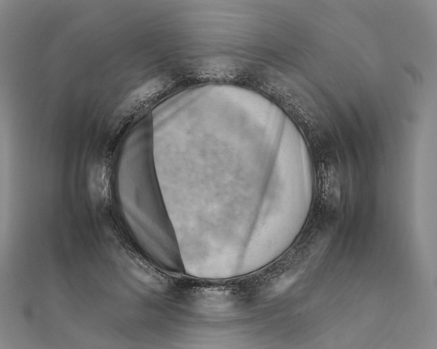 X0000112090692200909011105