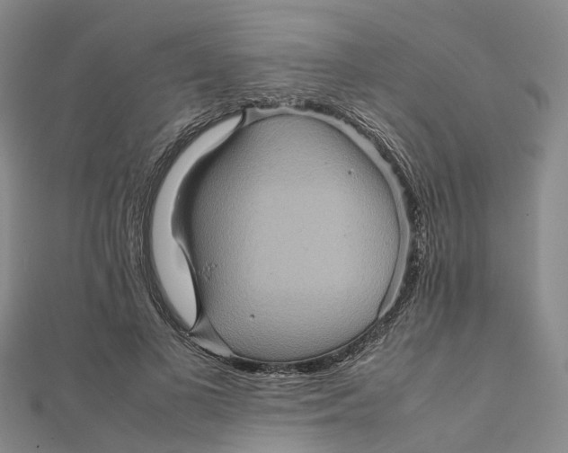 X0000112090693200909011104