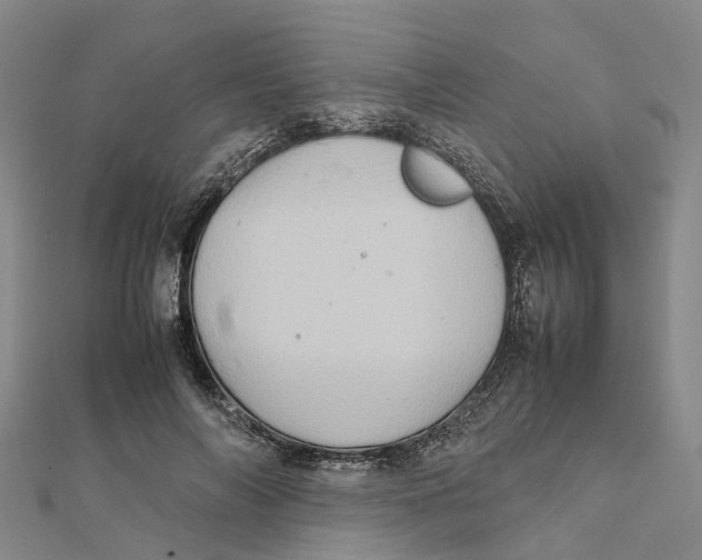 X0000112090694200909011104