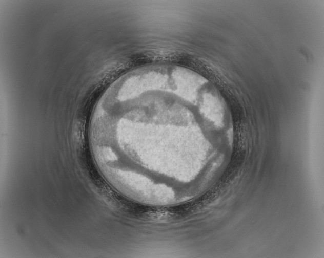 X0000112090695200909011104