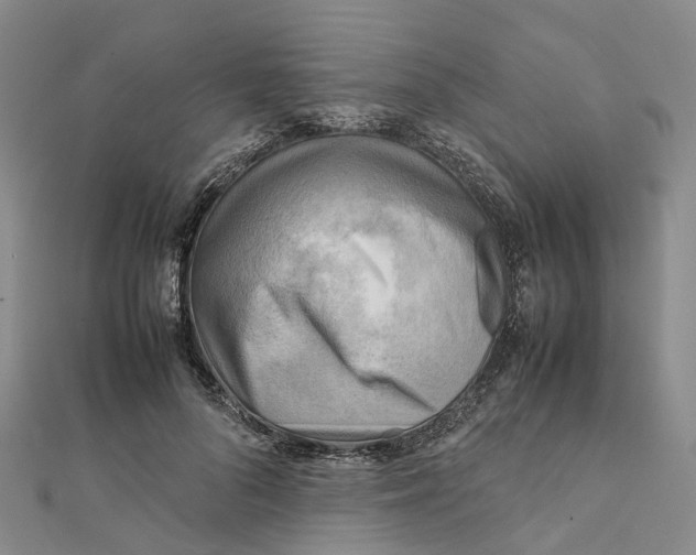 X0000112090696200909011104