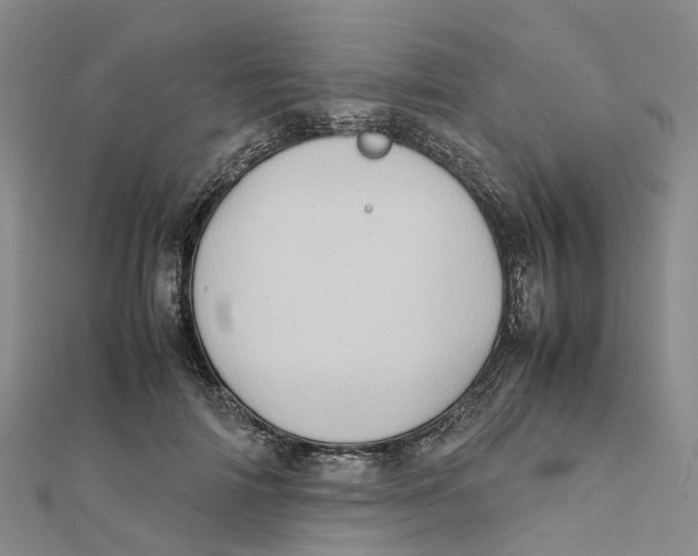 X0000112090698200909011104