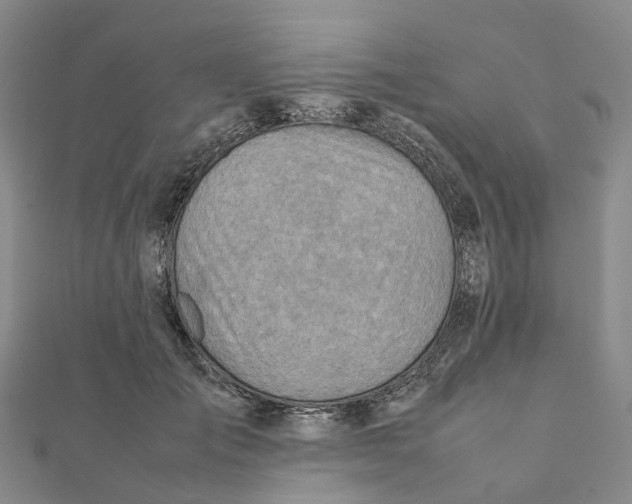 X0000112090701200909011104