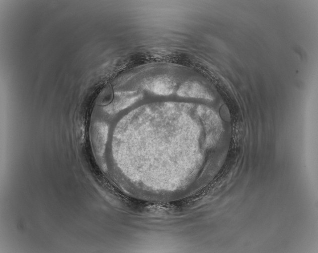X0000112090703200909011104