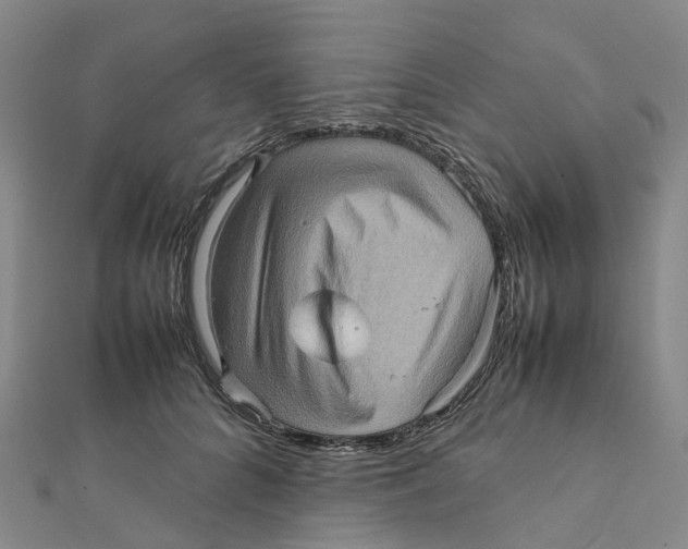 X0000112090704200909011104