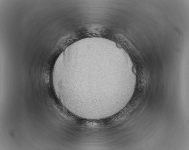X0000112090706200909011104