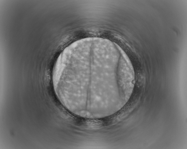 X0000112090707200909011104