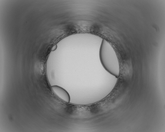X0000112090709200909011104