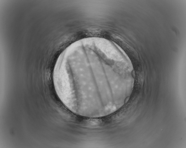 X0000112090711200909011104