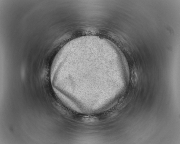 X0000112090714200909011104
