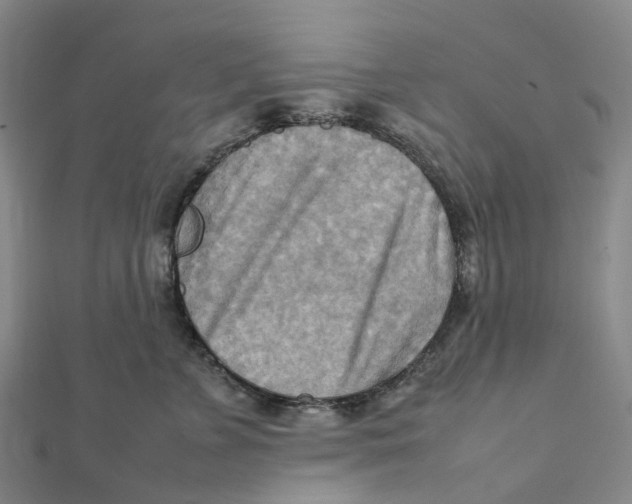 X0000112090715200909011104