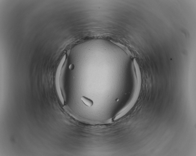 X0000112090716200909011104