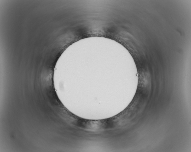 X0000112090717200909011104