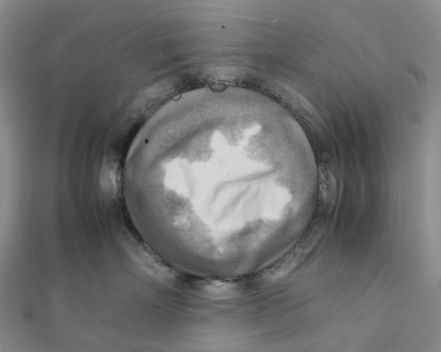 X0000112090718200909011104
