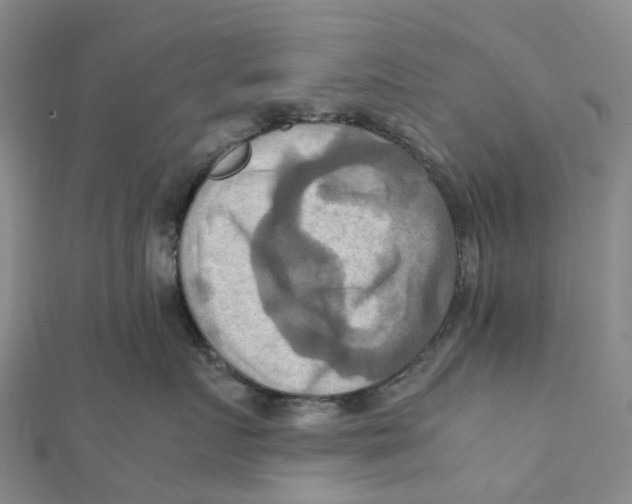 X0000112090719200909011104